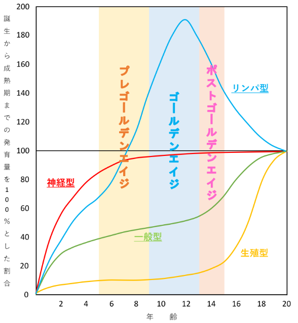 ゴールデンエイジ
